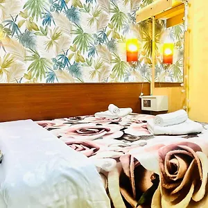 Green Guesthouse Gasthof Rom